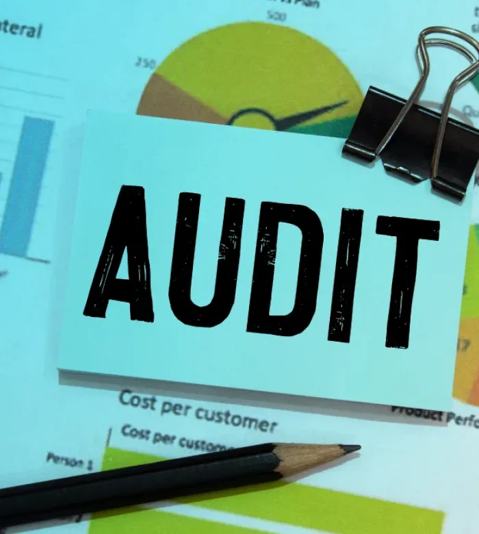 Audit-&-Assurance-Services